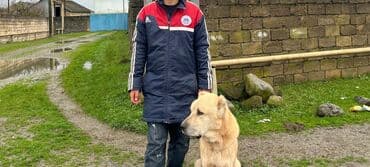 itlə barter: Alabay, 5 il, Erkek, Cütləşmə üçün, Ünvandan götürmə — 6