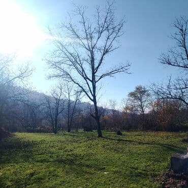 tecili ferma satilir: 12 sot, Mülkiyyətçi, Kupça (Çıxarış) — 3