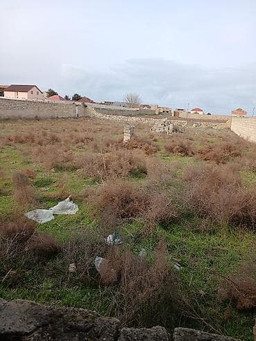 qobuda ev: 15 sot, Tikinti, Mülkiyyətçi, Müqavilə — 8