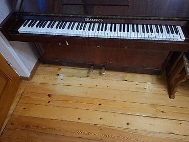 saz simi: Piano, Belarus, Akustik, İşlənmiş — 3