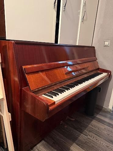 roma: Upright pianino – Юность ) modeli - Korpus: parlaq tünd qəhvəyi taxta — 8