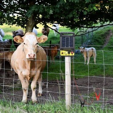 Tok çoban sistemi Təsərrüfatınızı və mal-qaranızı qoruyaq! Tok çoban lalafo.az -da Tok çoban sistemi Təsərrüfatınızı və mal-qaranızı qoruyaq! Tok çoban
