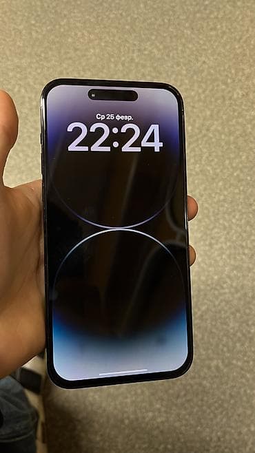 IPhone 14 Pro Max, 256 GB, Black Titanium