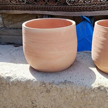 Digər bitkilər: Salam Muxtelif forma olcuye kimi dibcekler movcuddur . Ozel sifarisde — 2