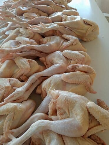 Вешалки: Ətinin dadi çox dadli temiz eti 850-950qramliq çolpalar satilir azi — 1