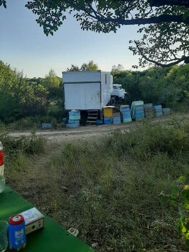 Akvariumlar: Köçəri arıçılıq üçün treylerlər və arıxana kompleksləri Məhsul — 4