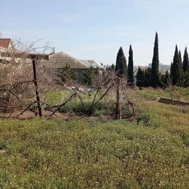 qaracuxurda: 16 sot, Tikinti, Mülkiyyətçi, Kupça (Çıxarış) — 13