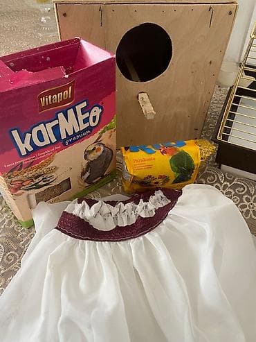 quş üçün qəfəs: Yeni kimidir gəfəs rəngi getmir qızılı poladdır 150 azn öz giyyməti — 1