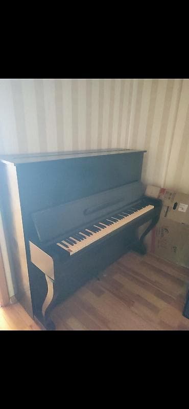 klasik gitara: - Korpus: klassik düz (upright) model, qara rəngli ağac örtük - — 2