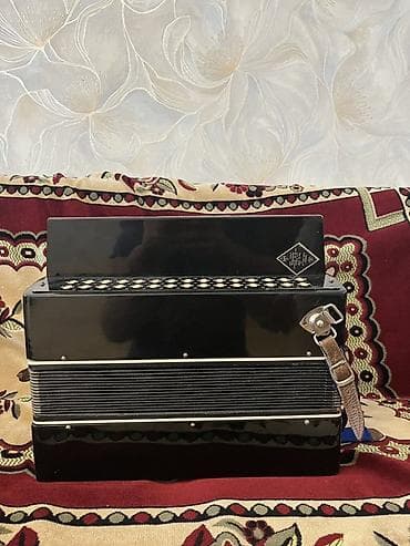 akkardion: Akustik Akkordeon — 5