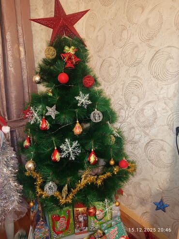 Bitkilər üçün dibçəklər: 1.30sm. keçən il alinib — 1