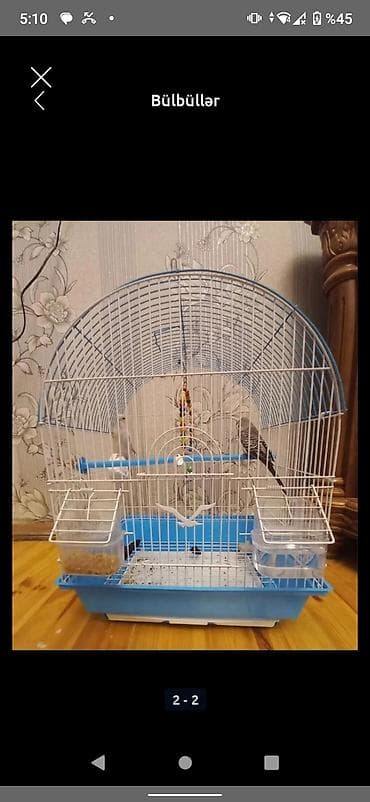 quşu: Endirim olar — 1