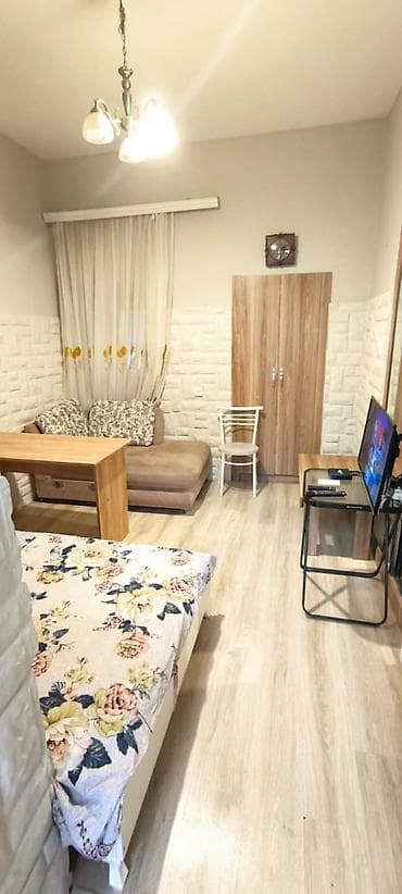 bakı ucuz kiraye evler: 1 otaqlı, Səbail r. r-nu — 5