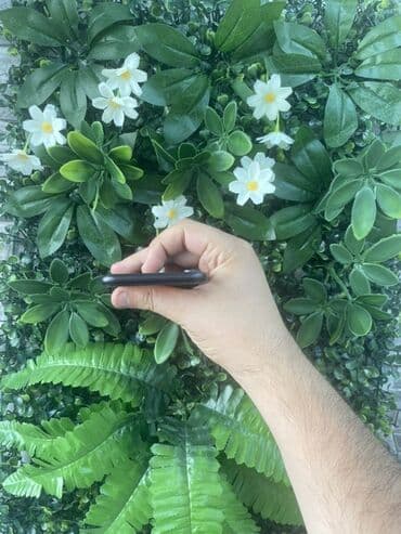 iphone xr 64 gb qiymeti: IPhone Xr, 64 GB, Qara, Face ID, Zəmanət — 5