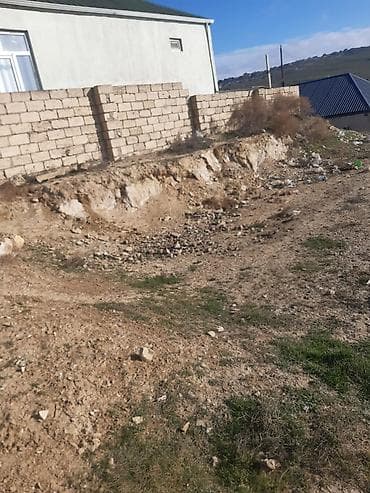 şeki: Tikinti, Kupça (Çıxarış) — 6