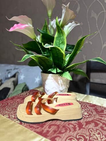 Oyuncaqlar: Tərliklər, Ölçü: 34, Qız üçün — 3