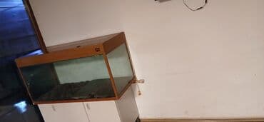 Balıqlar: Dördbucaq akvarium, Boş, 300 l — 1