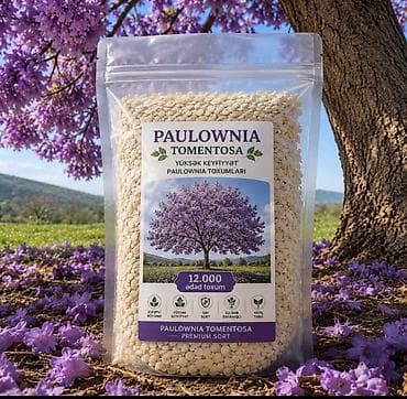 etotu bitkisi: Paulownia Tomentosa toxumları – premium sort Məhsul: - Paket: zipli — 1