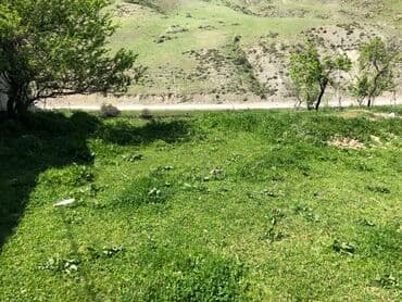 yeni əmlak sumqayıt: 30 sot, Kənd təsərrüfatı, Mülkiyyətçi, Kupça (Çıxarış) — 15