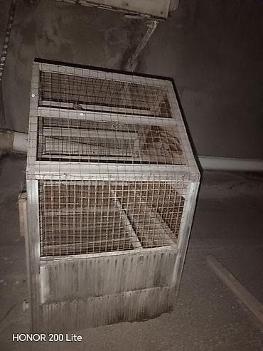 itler ucuz: Taxta quş/kəpənək evi – geniş və çoxsəviyyəli qəfəs - Material: taxta — 2