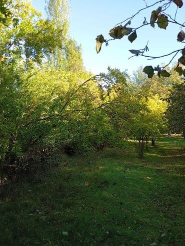 fatmayı torpaq: Kənd təsərrüfatı — 7