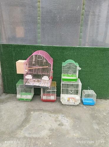 Heyvanlar üçün mallar: Quş qəfəsləri dəsti - Fərqli ölçü və rənglərdə metal quş qəfəsləri — 2