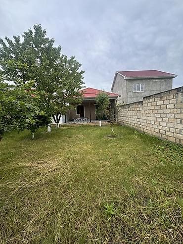 Bağ evi – geniş həyət və örtülü eyvan - Tək mərtəbəli həyət evi
