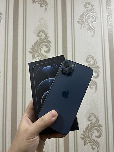 appel: IPhone 12 Pro, Göy, Face ID — 1