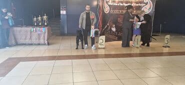 it yuvasi: Kane-Korso, Erkek, Sənədli, Ünvandan götürmə — 14