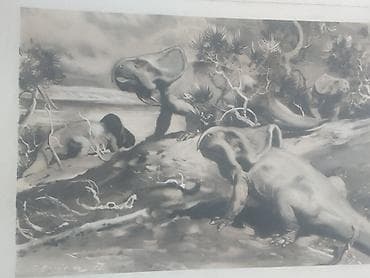 otlar sekilleri: Məhsul: Dinozavr mövzusunda vintage illüstrasiya çapları dəsti — 3