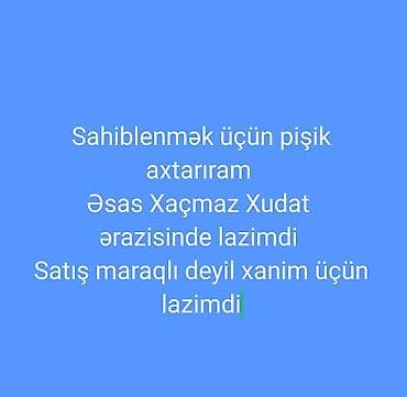 ekzot: Hediye ede bilecek biri varsa zehmet olmasa yazsin — 1