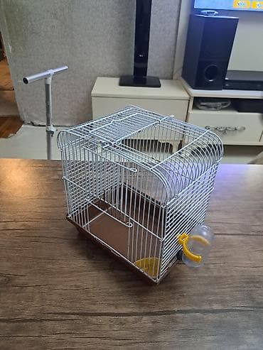 Qəfəs xamiaq qəfəsodir — 2