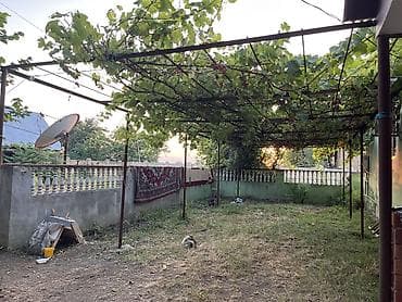 Masalli rayonu Qasimli kendi mektebin yanina az qalmis heyat evi — 9