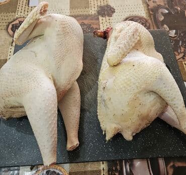 sudluk inekler satışı: Toyuq, Yumurtalıq, Ünvandan götürmə — 4