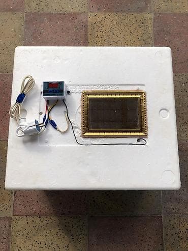 İnkubatorlar: 50 yumurta, Bütün növ quşlaq üçün — 1