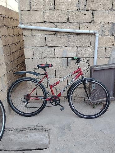 velosiped trinx: Salam 28lik 7skorslu qabaq Arxa tormuzlu stels velosibetdi Hər şeyi — 1