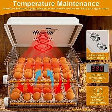 120 yumurtalı, ikiqat enerji mənbəli inkubator - 5 çıxartma rejimi: 4 — 6