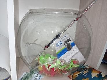 - Forması: klassik dairəvi “bowl” tipli şüşə akvarium - Həcmi təxmini