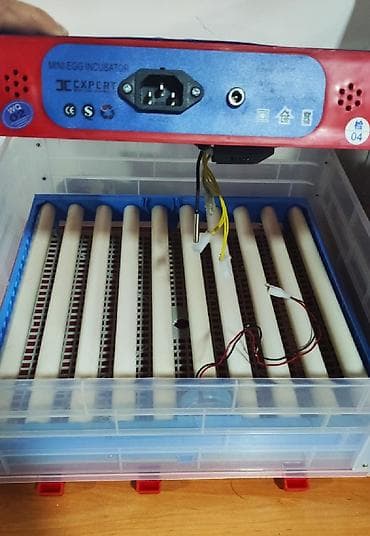 Inkubator inqibator inkibator inqubator 63 yumurtaliq zavod — 3