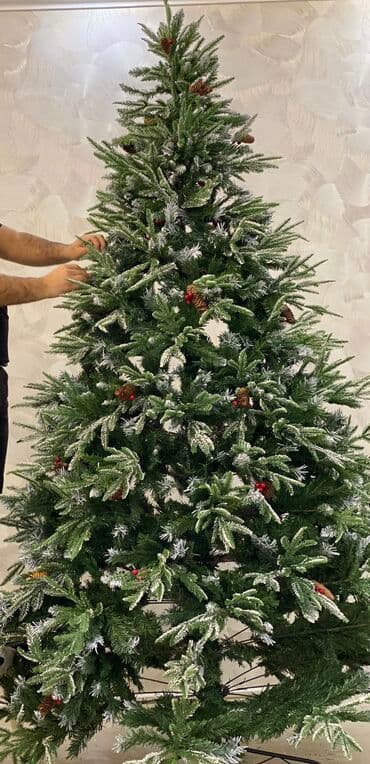 ağaç kesen: 2 dəfə qurulub 500 manata alınıb 250 manata satılır — 1