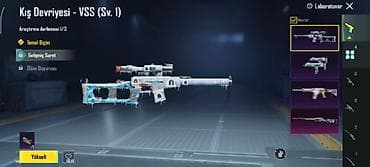 PUBG Mobile hesabı – kosmetiklər və nadir skinlərlə dolu - Platforma — 2