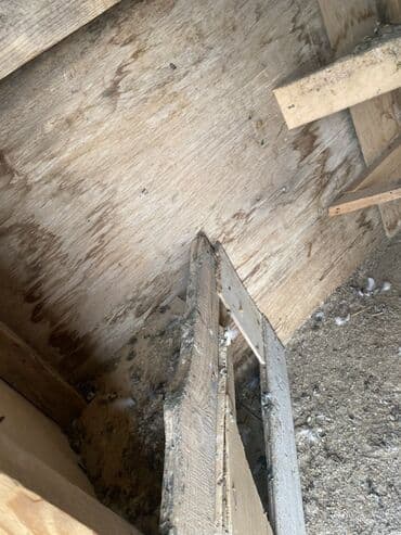 клетка для попугаев: Taxtadan hazırlanmış göyərçin yuvası, dam örtüyü ilə təchiz — 9