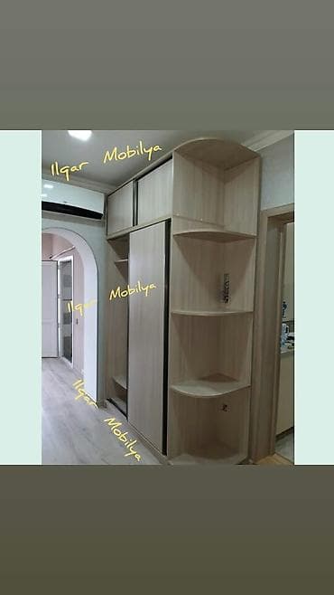 Düz dolab, Dəhliz üçün, Paltar üçün, Kupe, Quraşdırıla bilən, 2 qapılı