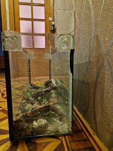canlı yem: Şüşə terrarium/akvarium - Material: qalın şüşə, metal/plastik künc — 2