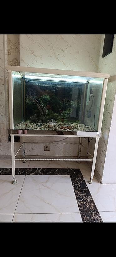 heyvan bazarı: Akvarium və möhkəm metal dayaqlıq - Şüşə korpuslu, iri həcmli — 1