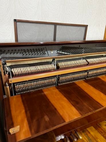 Gitaralar: Piano, Belarus, Akustik — 4