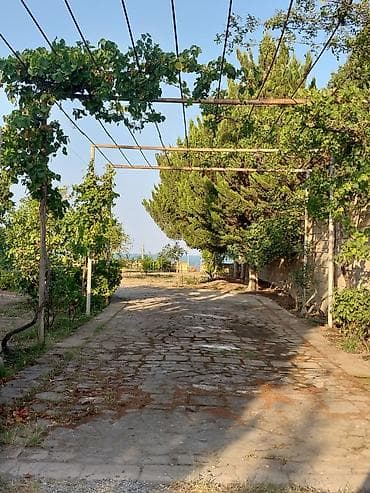 qubada ev: 50 kv. m, 3 otaqlı, Hovuzlu, Su, Qaz, İnternet — 2