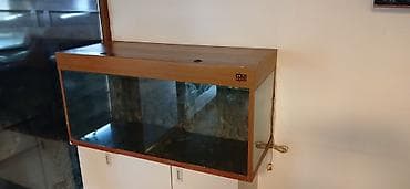 300 litr su tutur almaq isteyen zeng elesin tecli satilir — 2