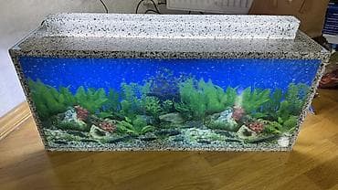 akvarium gəncə: Dördbucaq akvarium, Boş, 42 l, Ödənişli çatdırılma — 6