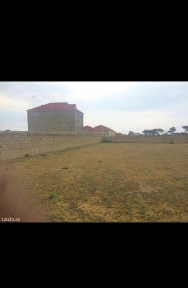 Qarajlar: 20 sot, Kənd təsərrüfatı, Mülkiyyətçi, Bələdiyyə — 4